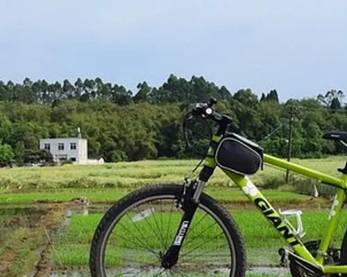 Private Chengdu Half Day Bike Tour